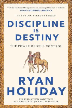 discipline is destiny summary